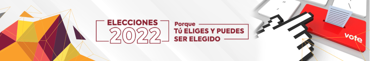 Elecciones 2022