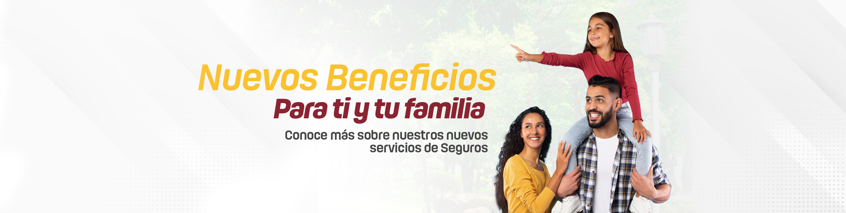 Imagen Seguros